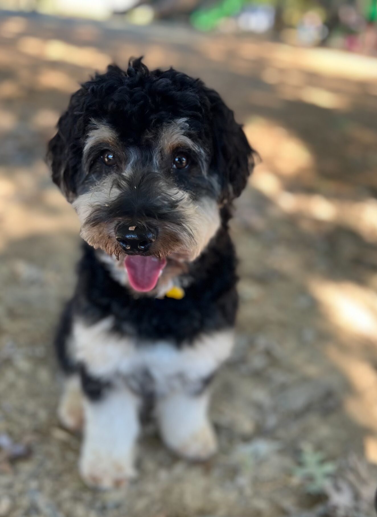 Cosmo
